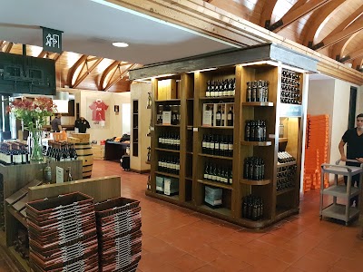 Photos of Concha y Toro vineyard