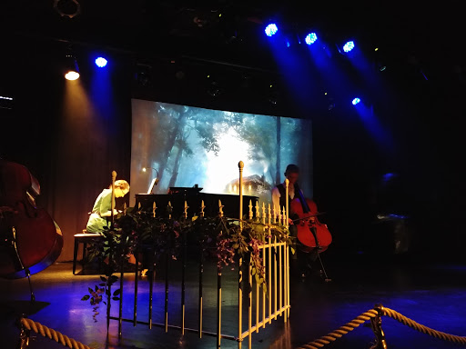 The Johnson Strings - Visual