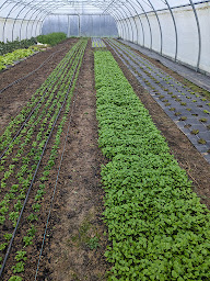 Photo n°6 de Graines des Mauges à Beaupréau-en-Mauges (Ferme bio)