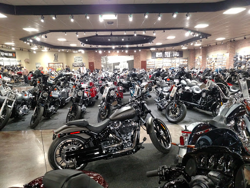 Napoleon Harley Davidson Gallery - United States