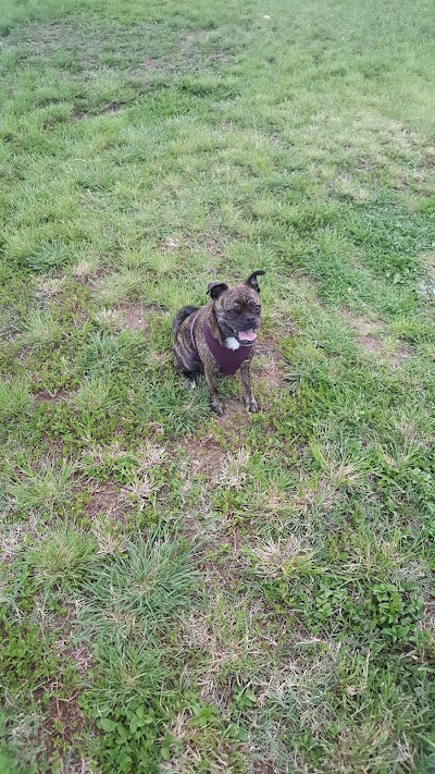 Hawaiʻi Kai Dog Park