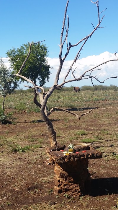 Photos of Mooifontein