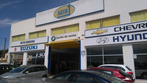 Auto 1 - Visual