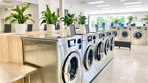 Flo Laundry - Visual