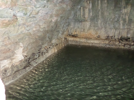 Fonte Steiner - Visual