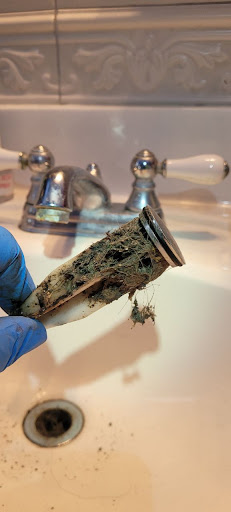 Professional Poo Services - Visual