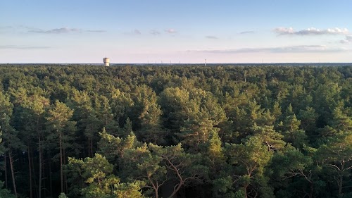 Tarzāns, Jūrmalas piedzīvojumu parks