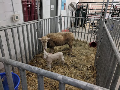 Nebraska State Fair