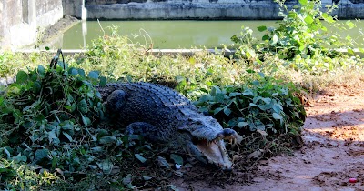 Photos of Akij Wildlife Farm Limited