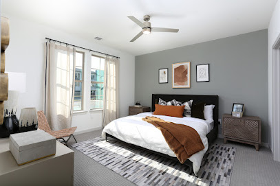 LocalBusiness at Austin Moving Forward