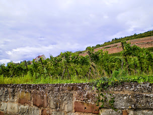 Photo n°10 de Gîte du Solarium au Clos Sainte Odile à Obernai (Appartement de vacances)