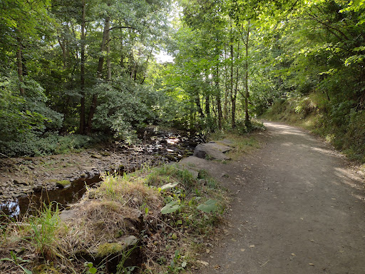 Deepdale Nature Reserve - Thumbnail