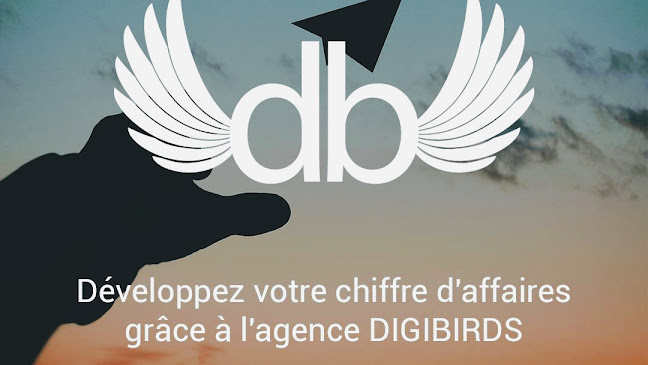 Avis sur AGENCE COMMUNICATION DIGIBIRDS à Rouen - Agence de publicité