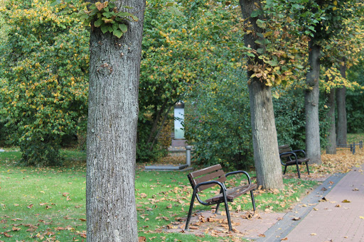 Schuh - Solebrunnen - Visual