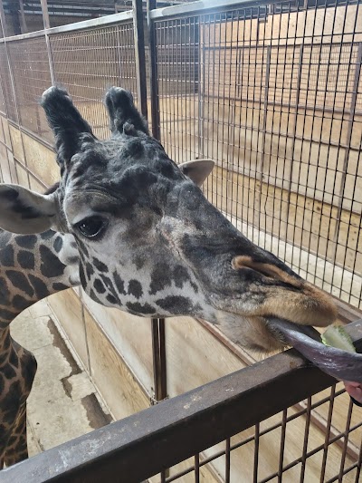 The Wilds Columbus Zoo