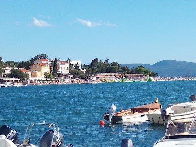 Photos of Gljiva