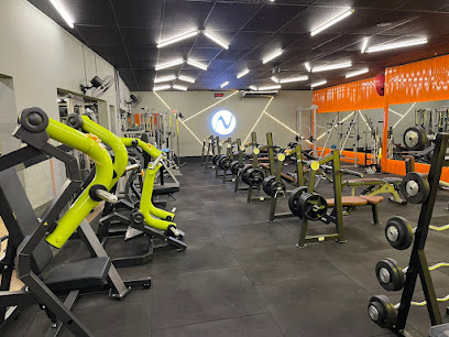 New Training - Academia de Natação e Musculação