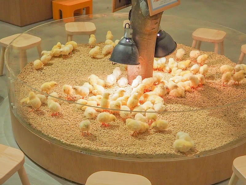 Moff animal cafe ららぽーと福岡店