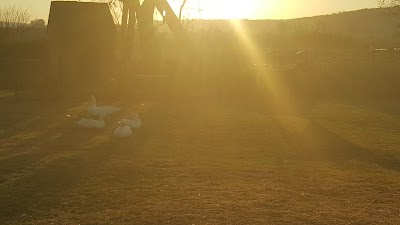 Photos of Imbabali Retreat