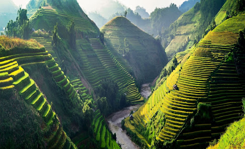 Cerulean World Travel Vacations, Luxury Travel Agency 758 N Larrabee St suite 201, Chicago, IL 60654, United States
