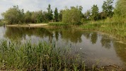 Фотография Островок, Лесопарковое шоссе, Тольятти, Россия