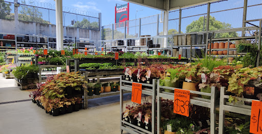 Bunnings Warehouse Mt Wellington - Thumbnail