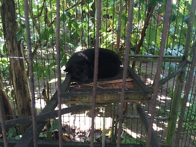 Photos of Mertha Sari Bhuana (Luwak Coffee)