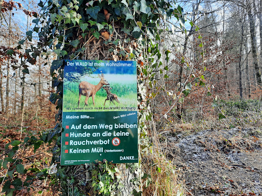 Wanderparkplatz Albertine-Steig - Thumbnail