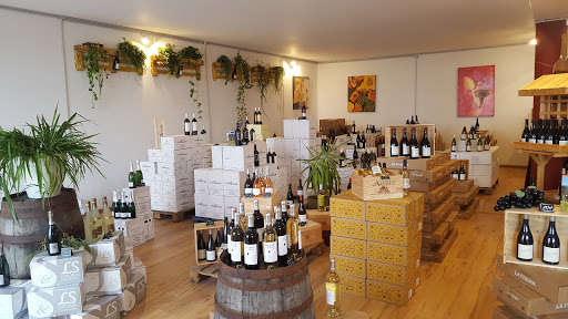 Wine Taste