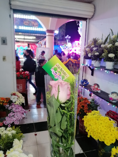 Floristería Portales - Thumbnail