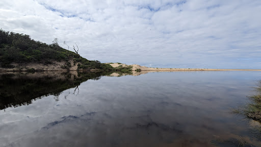 Cudmirrah on leash beach - Thumbnail