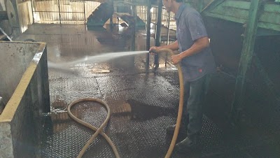 Photos of PT. SAK MUARA TIMPEH