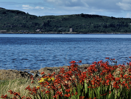 Little Cumbrae Castle - Thumbnail