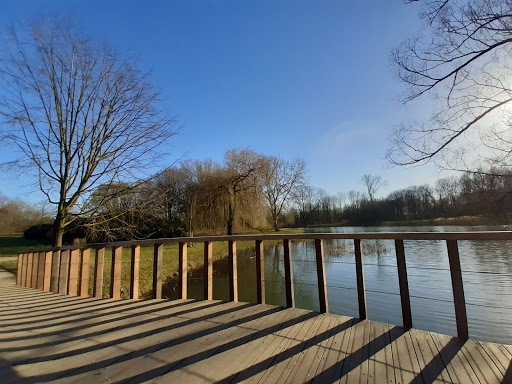 Staddijk - Visual