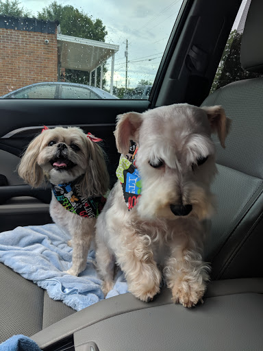 Prissy Pups II
