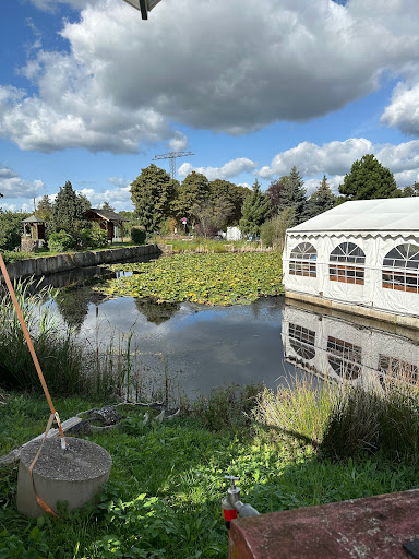 Restaurant Gröbern am See - Thumbnail