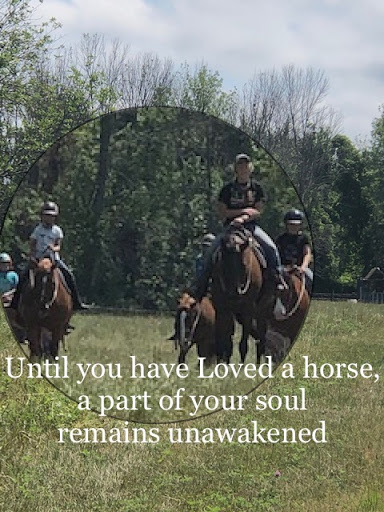 Lakeside Quarter Horses