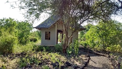 Photos of Finch Hattons Luxury Tented Camp