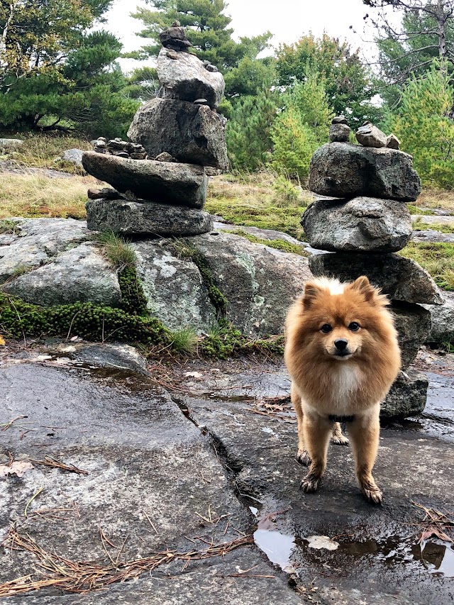 Buck Mountain Trailhead