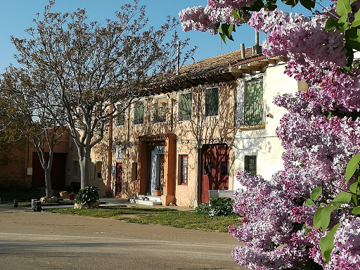 Quinta del Jalon Gallery - Spain