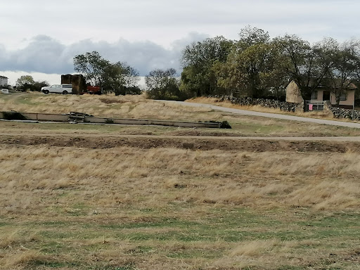 Campa - Thumbnail