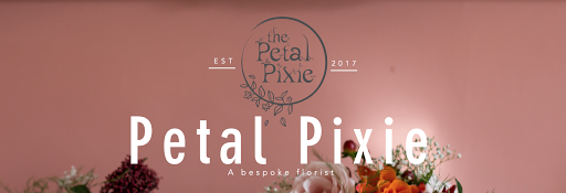 The Petal Pixie - Visual