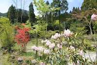 かっこうのさとキャンプ場