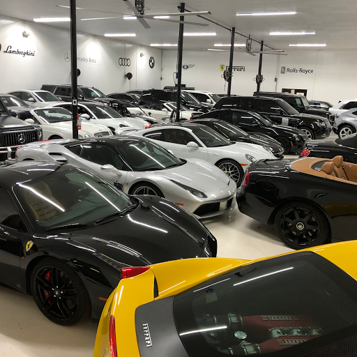 Icon Exotics - Visual