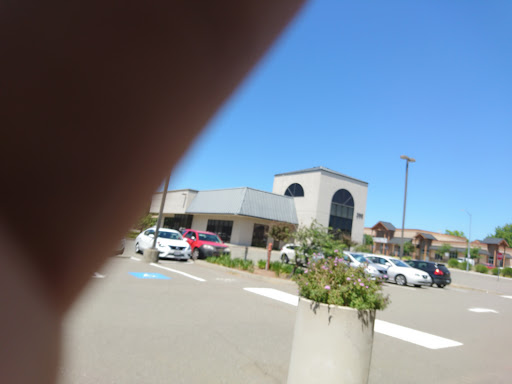 Buckingham Collegiate Charter Academy - Thumbnail