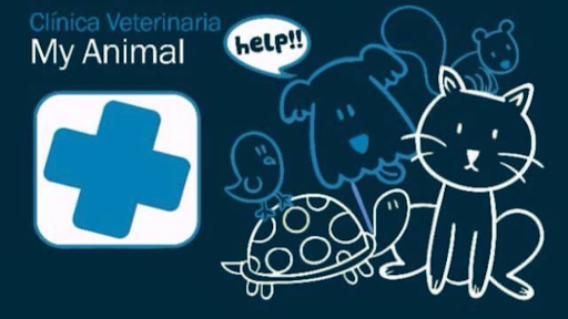 Consultorio Veterinario My Animal - Thumbnail