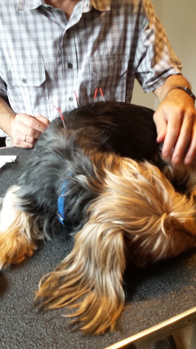 Photos of Landau Veterinary Services