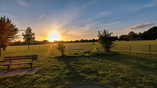 Racecourse Park - Thumbnail