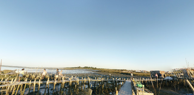 Porto Palafítico da Carrasqueira - Alcácer do Sal
