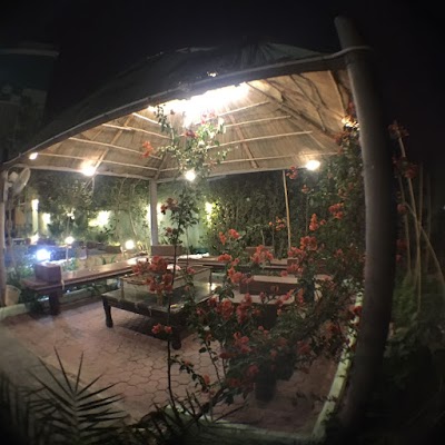 Photos of green chalet